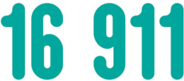 Baby Express logo